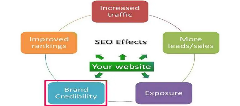 Improves Your Site's Authority and Credibility